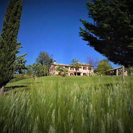 Cupramontana Quelli Del Picchio B&B 외부 사진