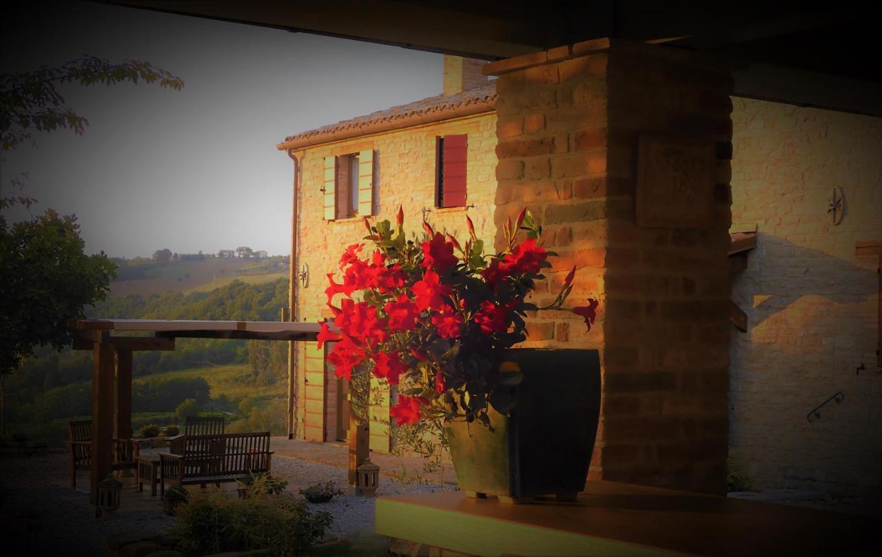 Cupramontana Quelli Del Picchio B&B 외부 사진