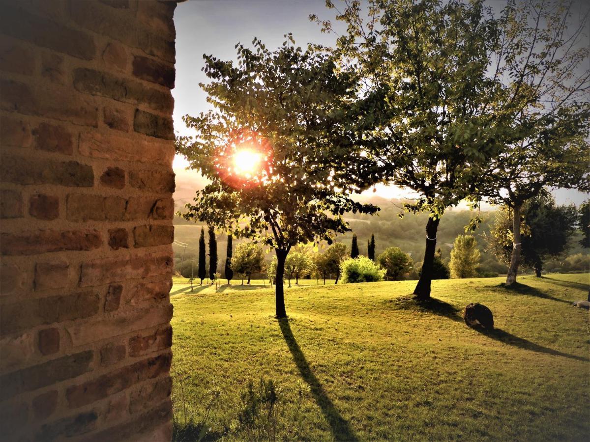 Cupramontana Quelli Del Picchio B&B 외부 사진