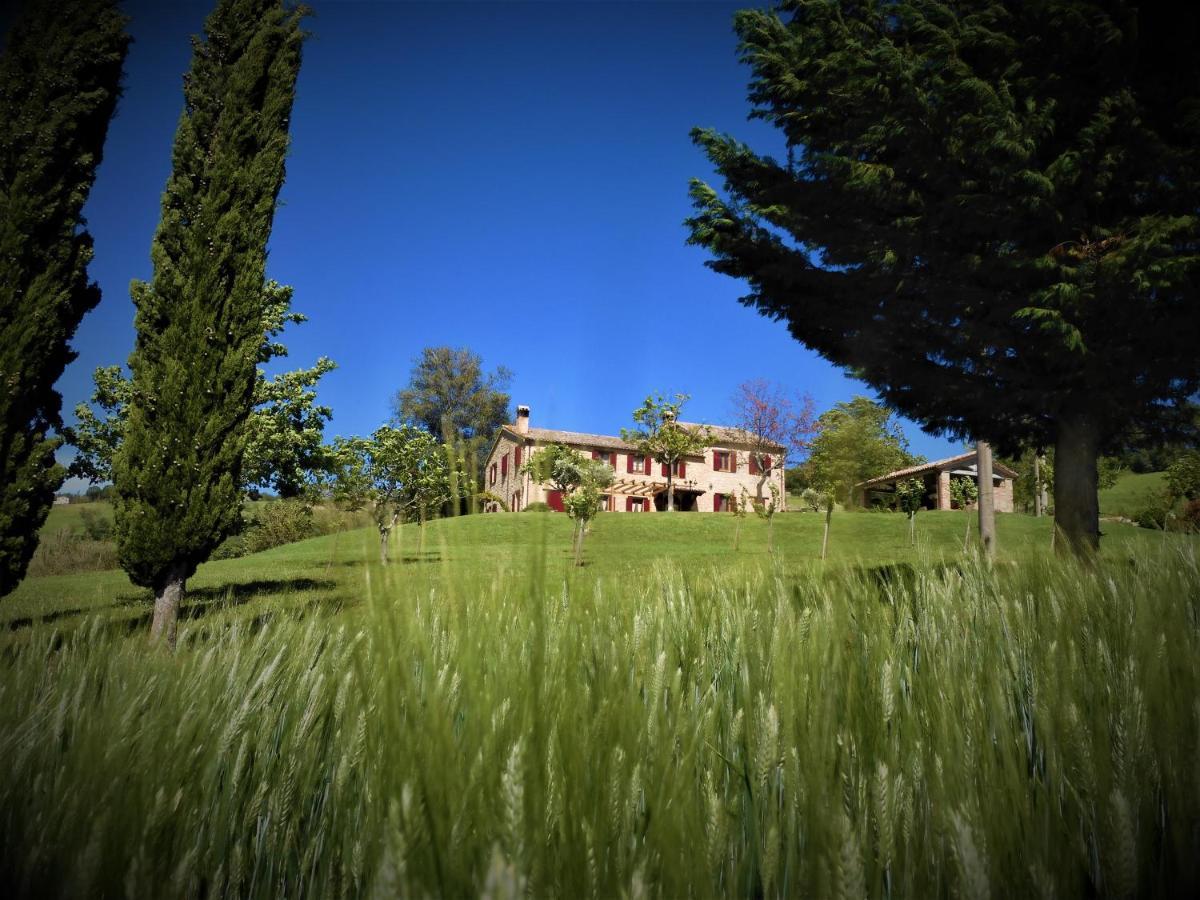 Cupramontana Quelli Del Picchio B&B 외부 사진