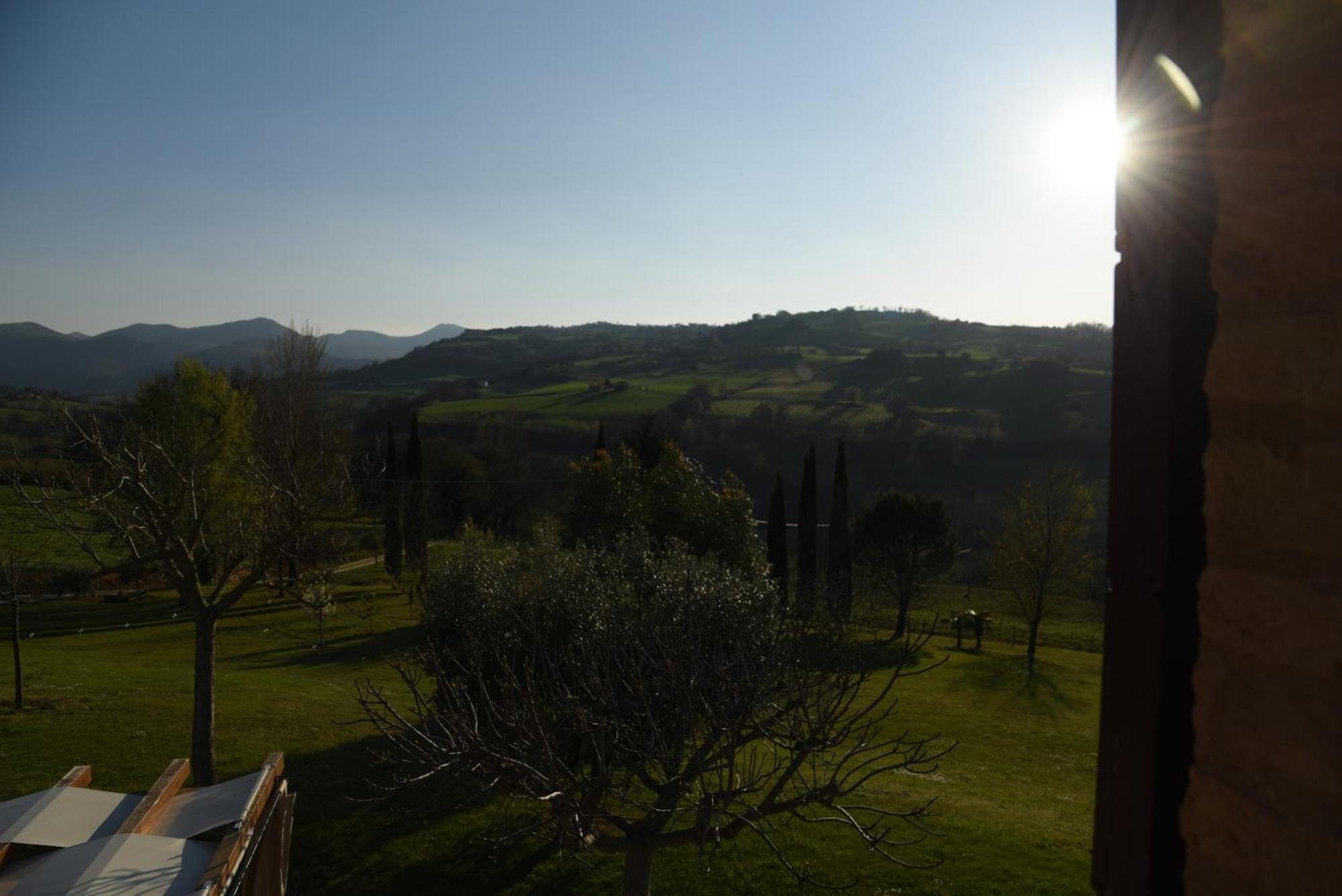 Cupramontana Quelli Del Picchio B&B 외부 사진